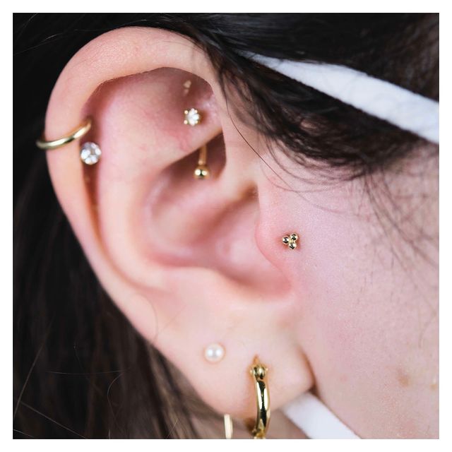 A person with various ear piercings